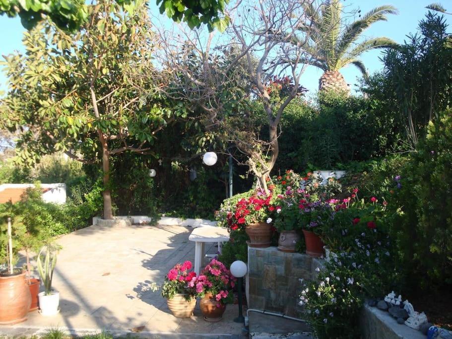 Endless Blue Villa - Amazing Sea View Αγία Πελαγία  Εξωτερικό φωτογραφία